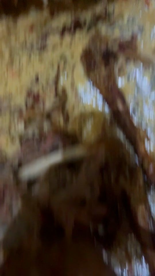 TikTok video thumbnail by diataboy