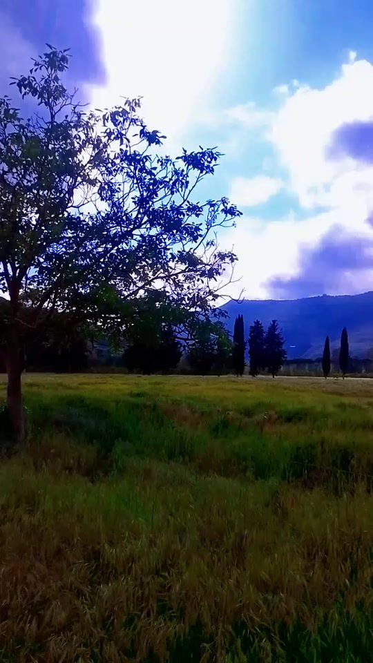 TikTok video thumbnail by umm.reem23