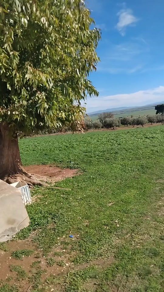 TikTok video thumbnail by user6980590255822