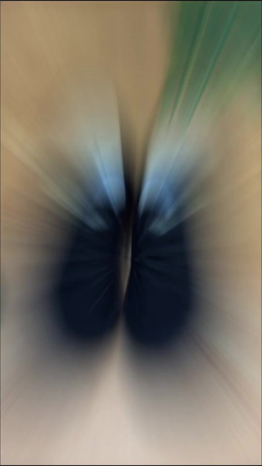 TikTok video thumbnail by ventela_inc