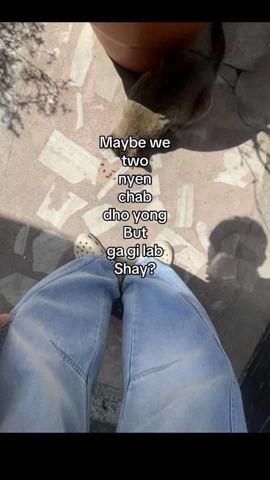 TikTok video thumbnail by pema_mange