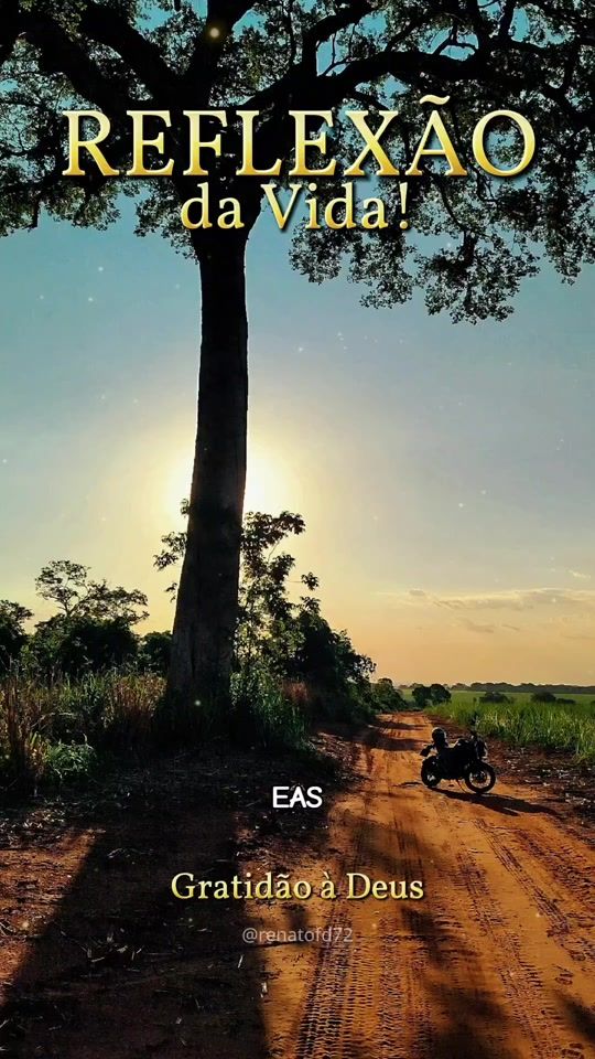 TikTok video thumbnail by eas_reflexoes
