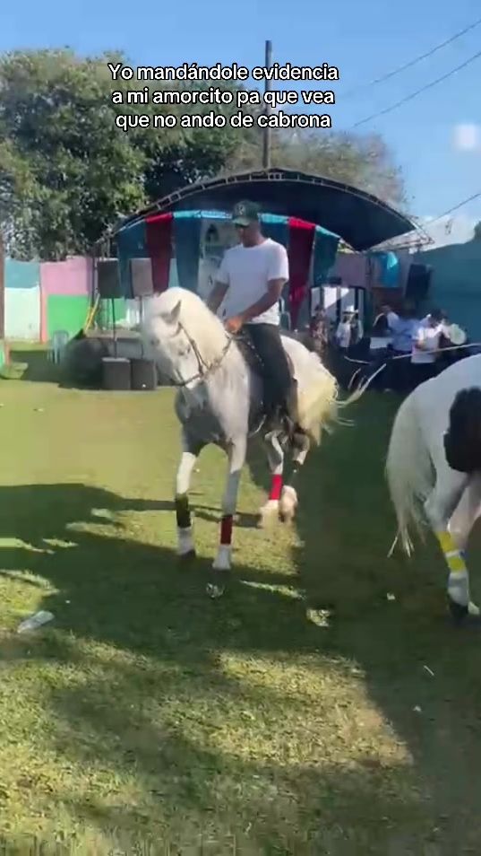 TikTok video thumbnail by sbgm08..8
