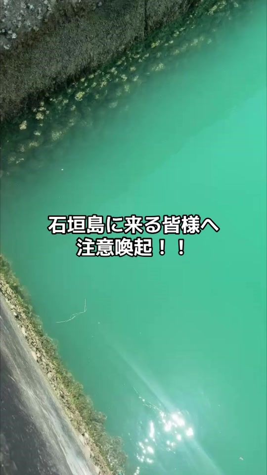 TikTok video thumbnail by asuna.kira