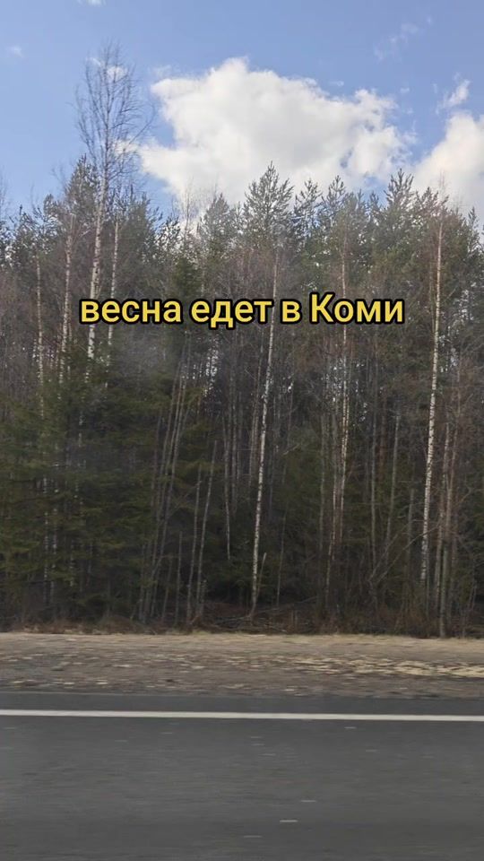 TikTok video thumbnail by komi_republic