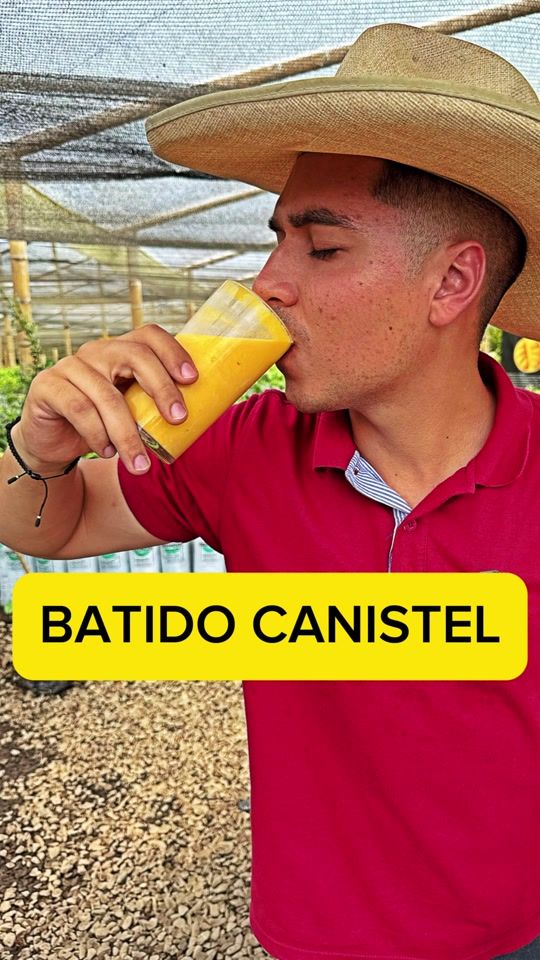 TikTok video thumbnail by viverogerminar