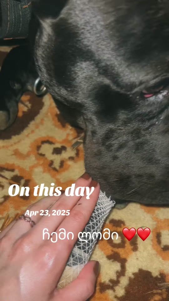 TikTok video thumbnail by tatiko010