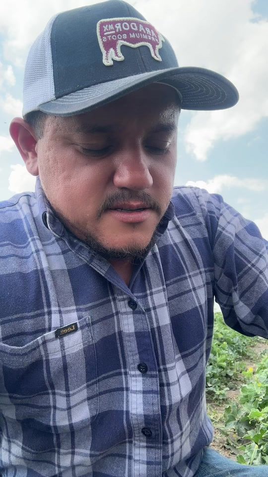 TikTok video thumbnail by edgcent