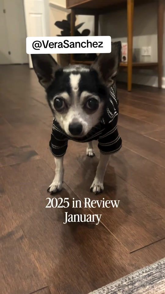 TikTok video thumbnail by vera_exp_trader1