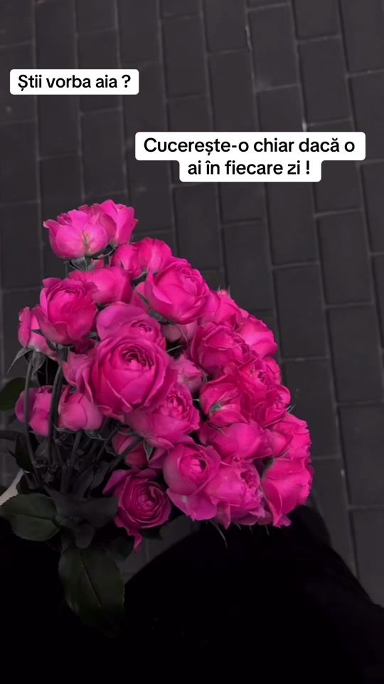 TikTok video thumbnail by tatianabitca65
