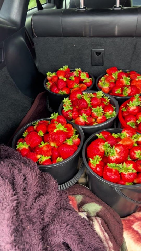 TikTok video thumbnail by 2021dgakonia