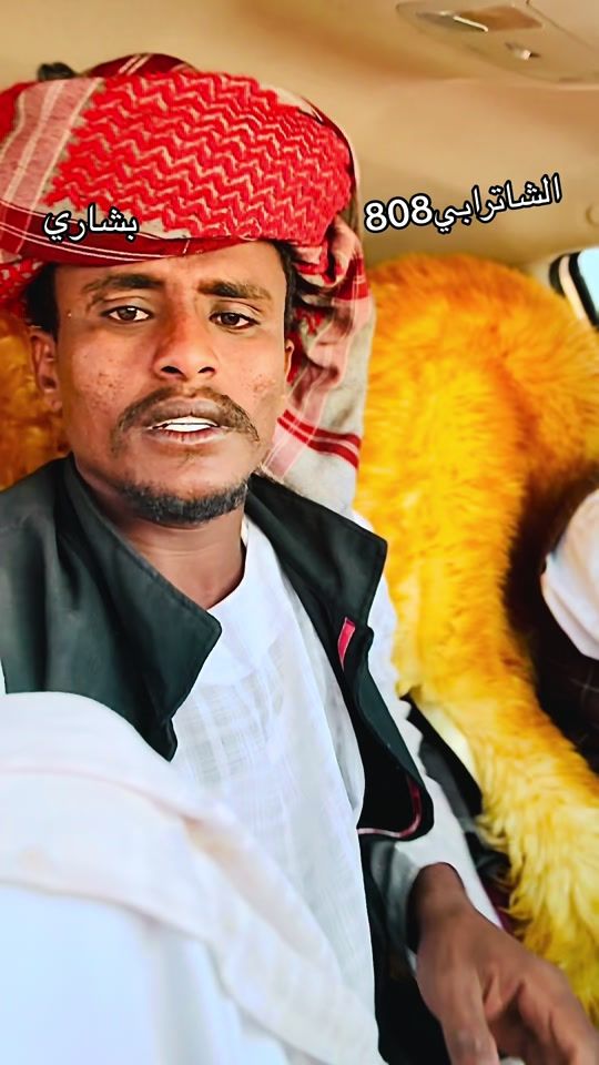 TikTok video thumbnail by wadadroub15