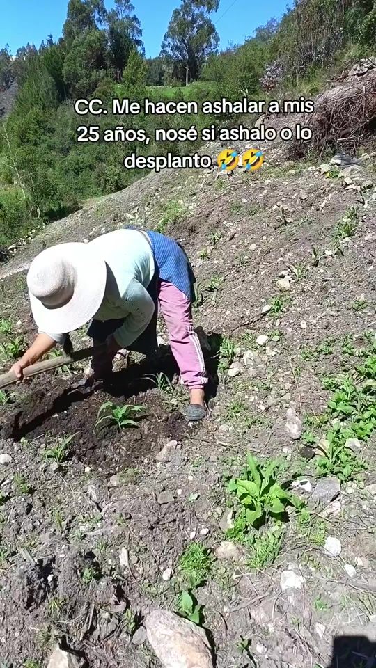 TikTok video thumbnail by lajaneth22