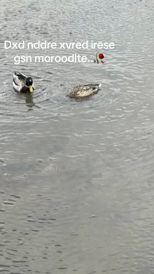 TikTok video thumbnail by zxoria666