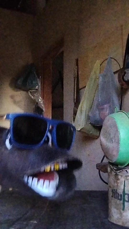 TikTok video thumbnail by celson.guimaraes