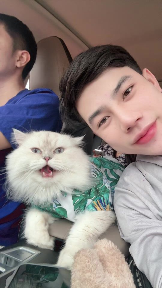 TikTok video thumbnail by vanphone.9