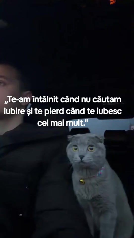 TikTok video thumbnail by danuuu.1