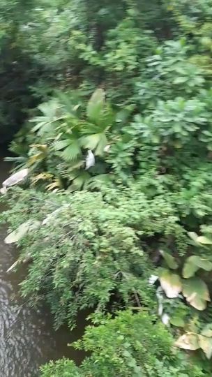 TikTok video thumbnail by gatitamargo83