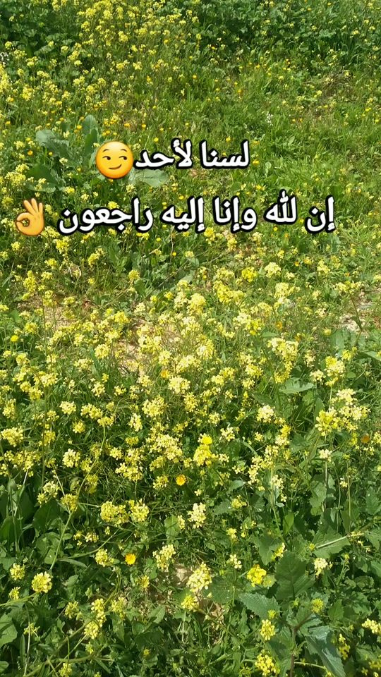 TikTok video thumbnail by 26malak12