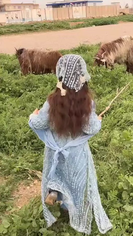 TikTok video thumbnail by alipdb11