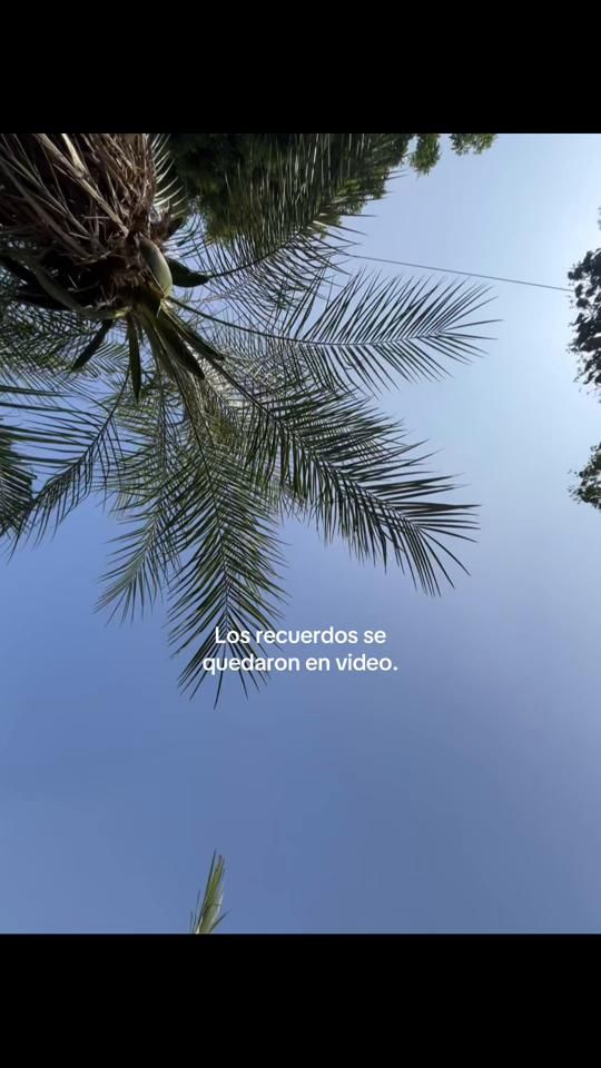 TikTok video thumbnail by luis_laboriano