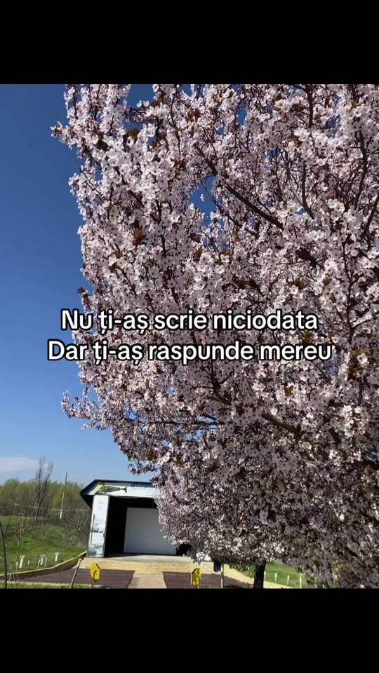 TikTok video thumbnail by cml_7723
