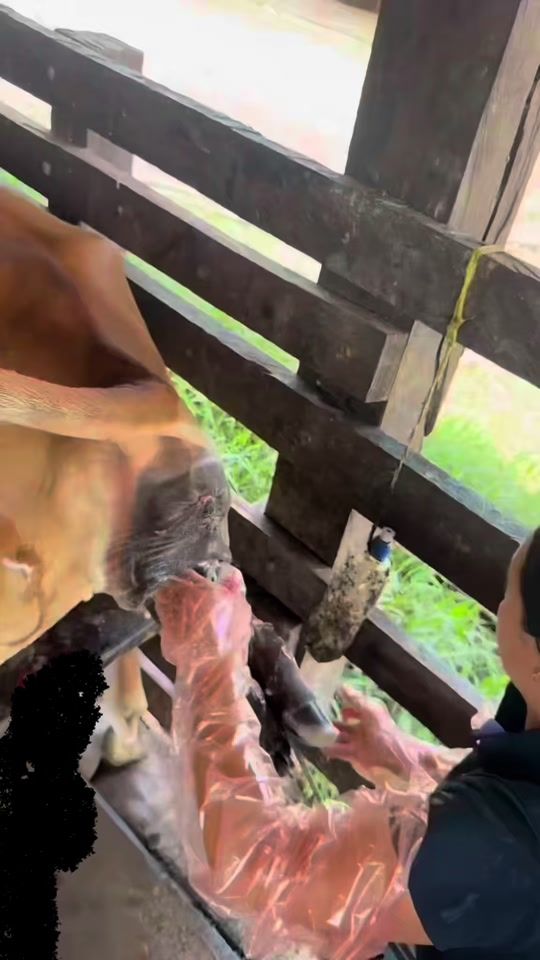 TikTok video thumbnail by laura2sierra