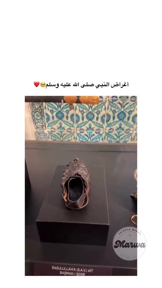 TikTok video thumbnail by dlyrojava24