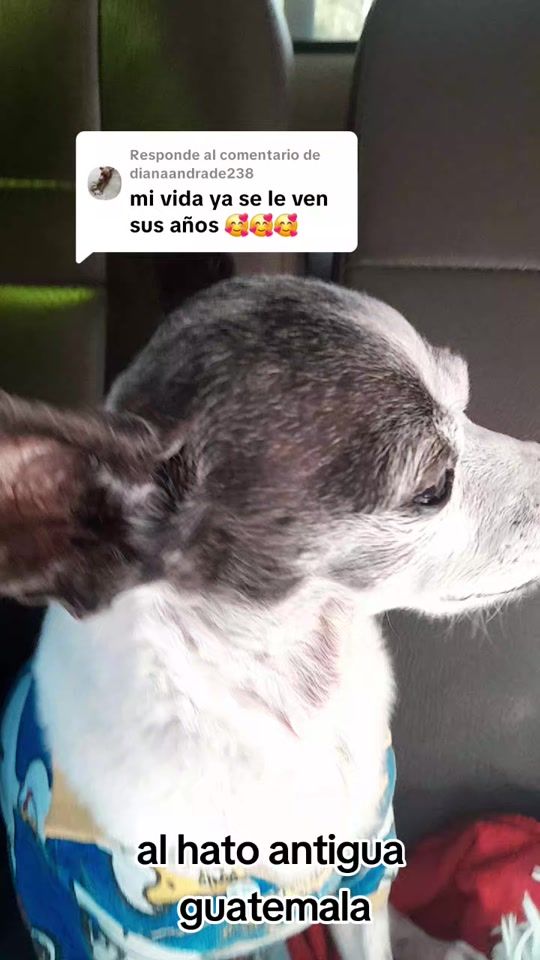 TikTok video thumbnail by jimmylopez344