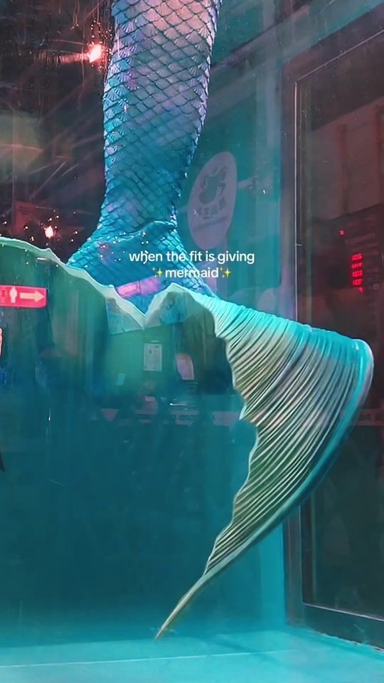 TikTok video thumbnail by thetropicalmerman