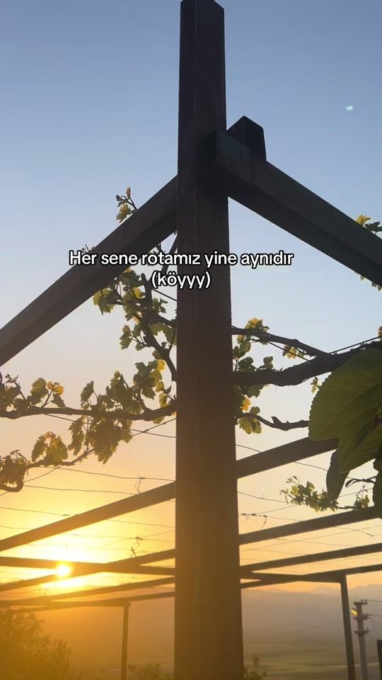 TikTok video thumbnail by papatya_27.li