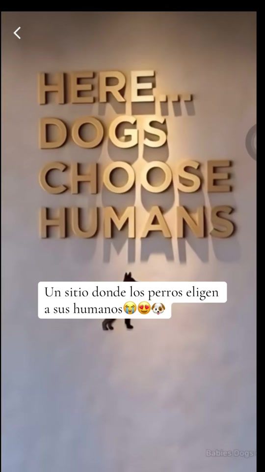 TikTok video thumbnail by spuerto8