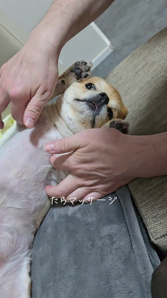 TikTok video thumbnail by tarachoa