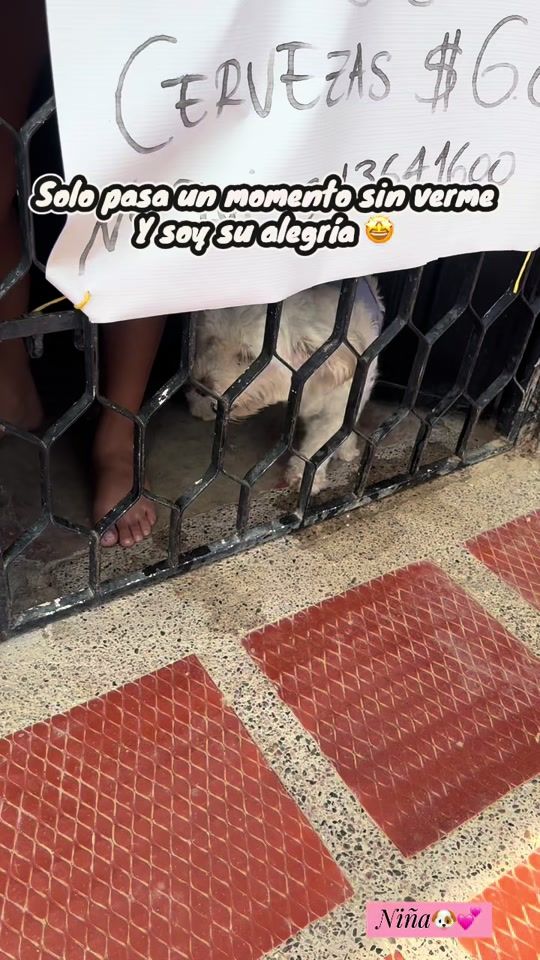 TikTok video thumbnail by soy_lulaa