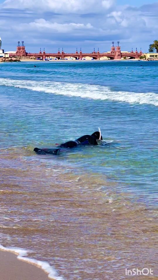 TikTok video thumbnail by yassergaber877