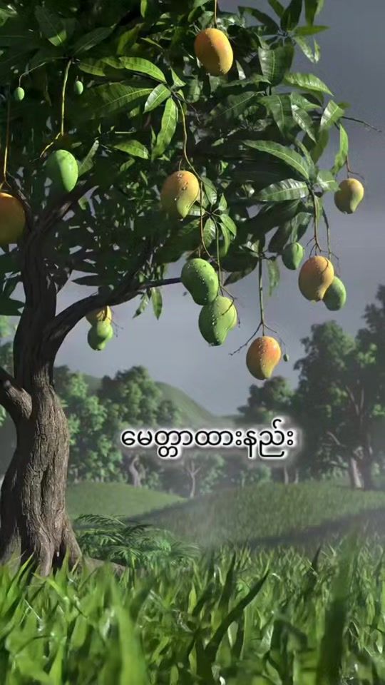 TikTok video thumbnail by dhamma37999