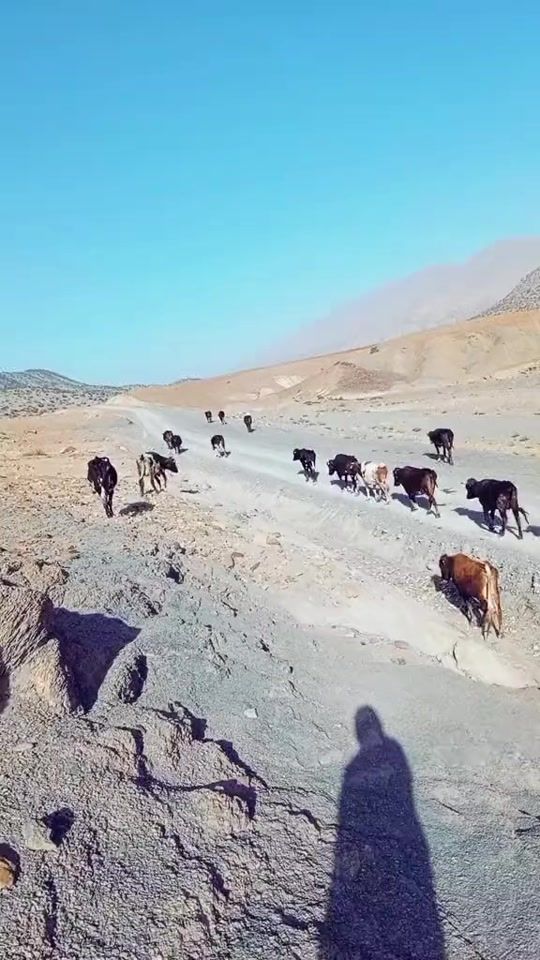 TikTok video thumbnail by izm_50