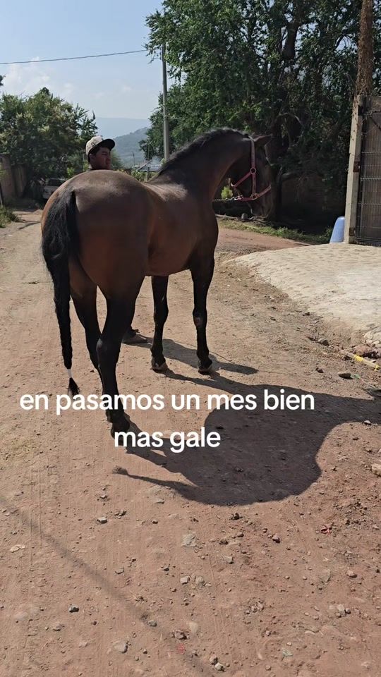 TikTok video thumbnail by cuadra.los.cigarr