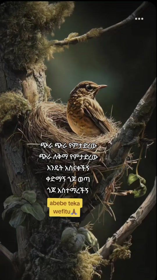 TikTok video thumbnail by ethiomusic360