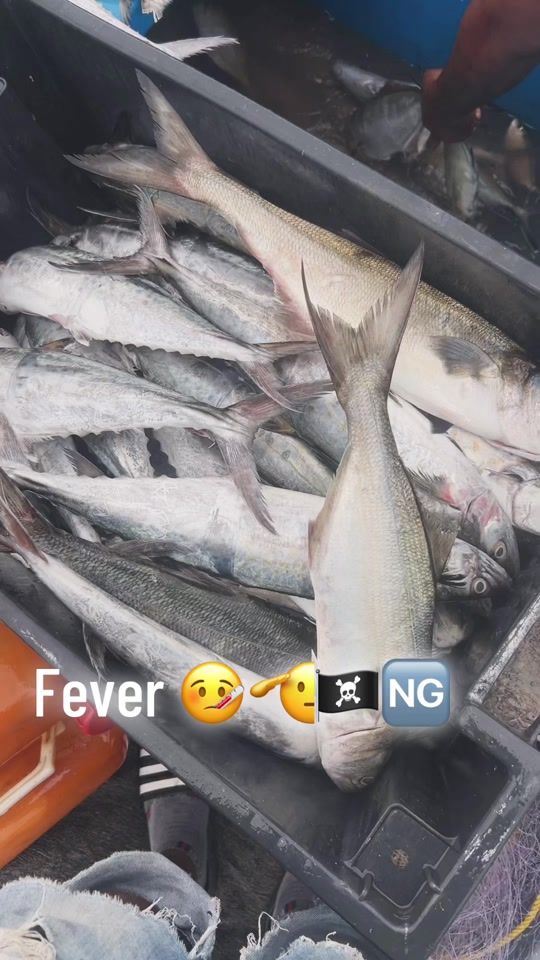 TikTok video thumbnail by rass_dan_ng