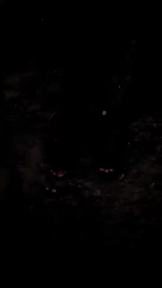 TikTok video thumbnail by merciaampion