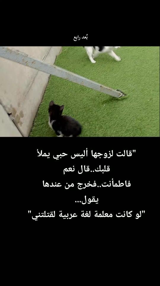 TikTok video thumbnail by boaad_rabaa