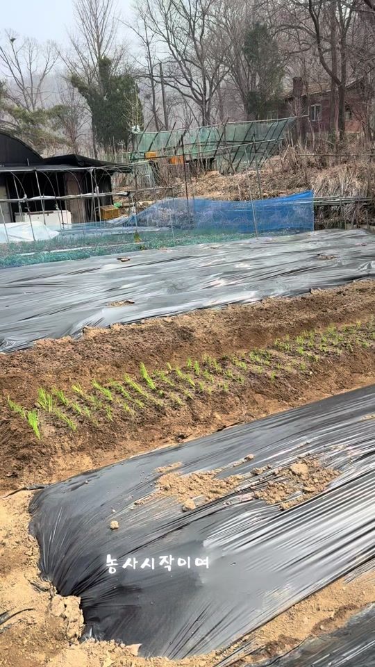 TikTok video thumbnail by dq6625