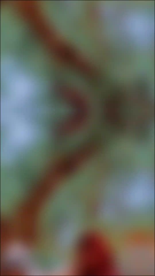 TikTok video thumbnail by marietou.gambo8