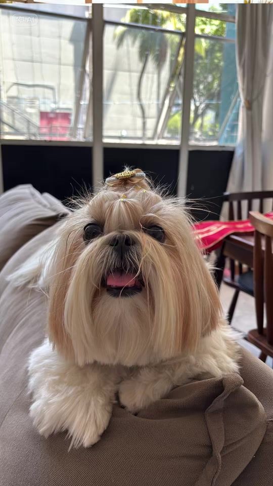 TikTok video thumbnail by gelgaldino