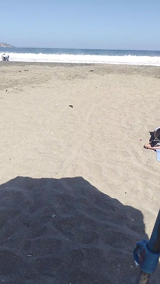 TikTok video thumbnail by olmosloolco