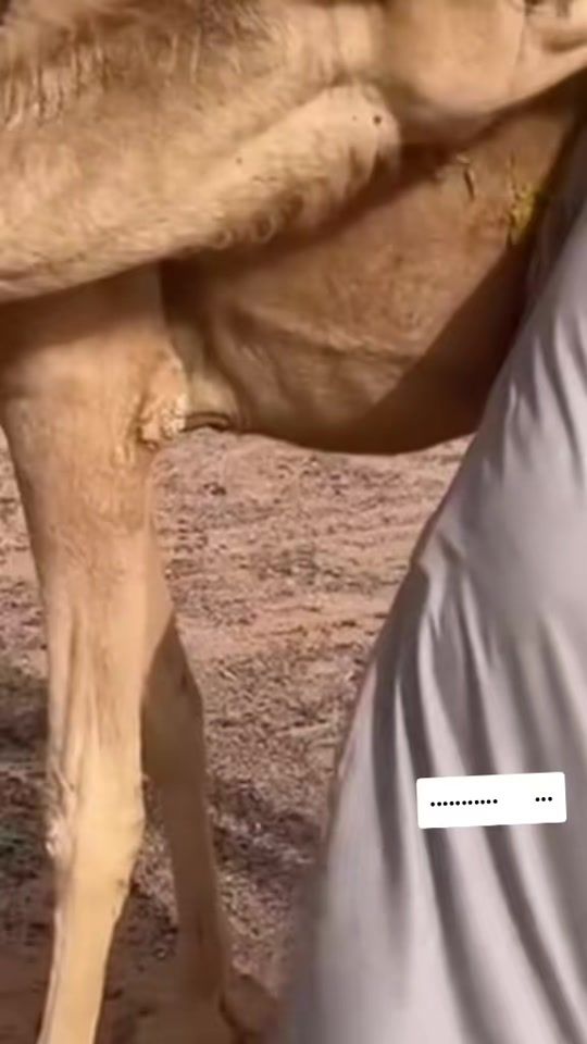 TikTok video thumbnail by zayed..5