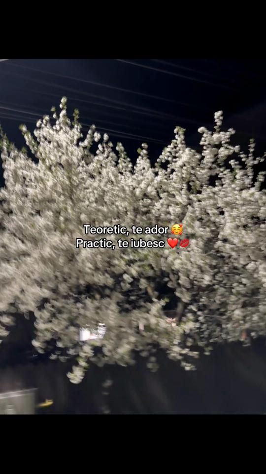 TikTok video thumbnail by vanessa.vanessa033