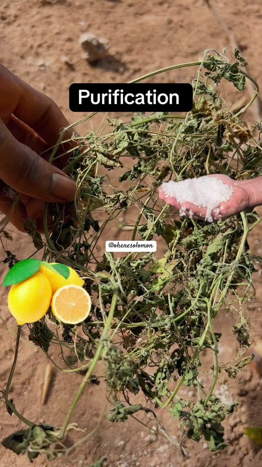TikTok video thumbnail by agya.frimpon