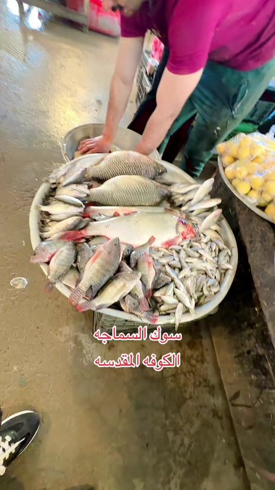 TikTok video thumbnail by 30ali45